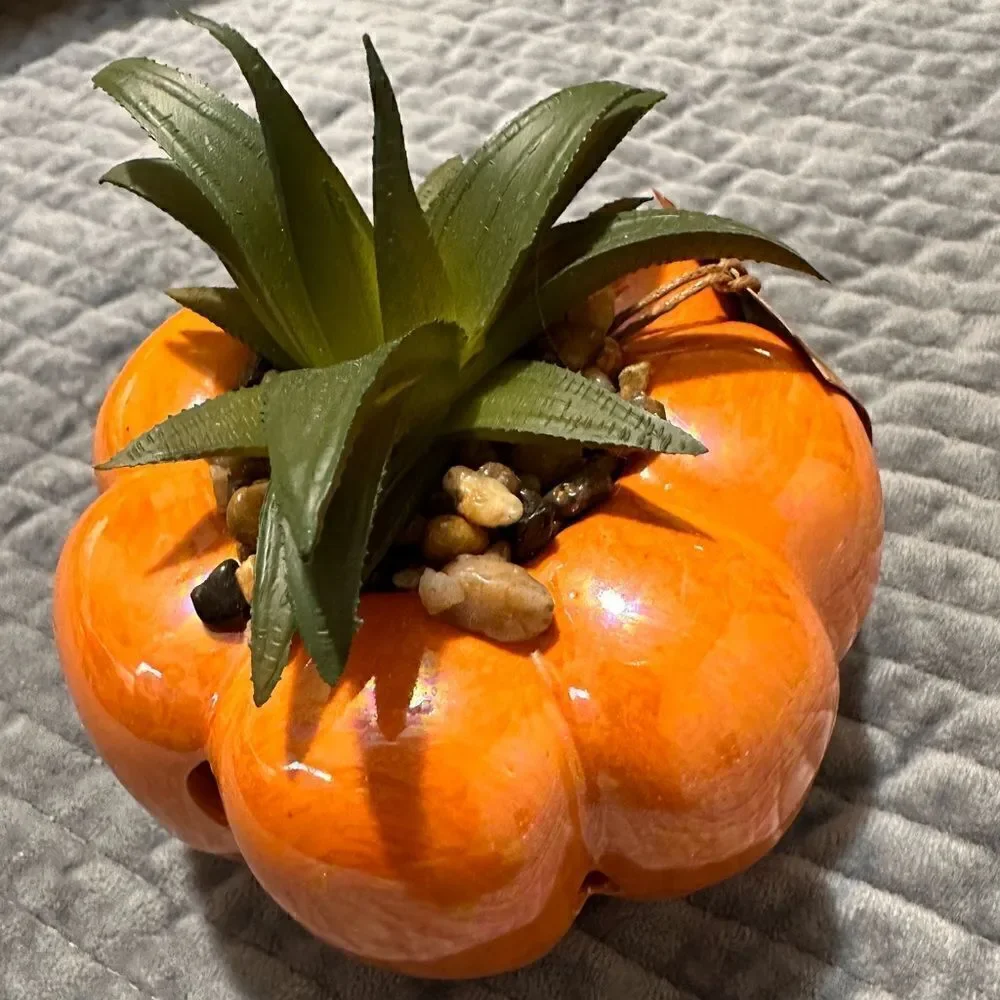 Home decor, hand Painted cinnamon, pumpkin scented acent.